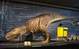 T. rex - Kennen wir uns?