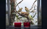 Bar der toten Tiere 2024