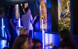 Bar der toten Tiere 2025