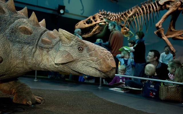 Besucherinnen und Besucher in der Ausstellung «T. rex - Kennen wir uns?»
